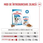 Royal Canin Mini Puppy Hană uscată pentru câini junior 4 kg