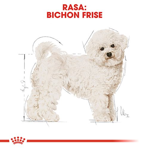 Royal Canin Bichon Frise Adult Hrană uscată pentru câini 1,5 kg