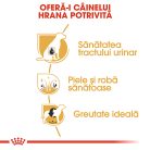Royal Canin Bichon Frise Adult Hrană uscată pentru câini 1,5 kg