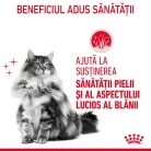 Royal Canin Hair & Skin Pliculețe pentru pisici 85 g