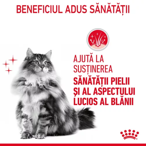 Royal Canin Hair & Skin Pliculețe pentru pisici 85 g
