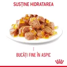 Royal Canin Hair & Skin Pliculețe pentru pisici 85 g