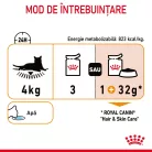 Royal Canin Hair & Skin Pliculețe pentru pisici 85 g
