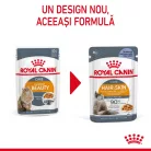 Royal Canin Hair & Skin Pliculețe pentru pisici 85 g