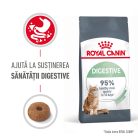 Royal Canin Hair & Skin Care Adult Hrană uscată pentru pisici 400 g