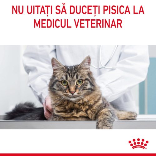 Royal Canin Hair & Skin Care Adult Hrană uscată pentru pisici 400 g