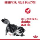 Royal Canin Hair & Skin Care Adult Hrană uscată pentru pisici 400 g
