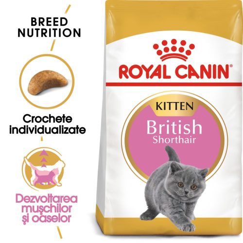 Royal Canin British Shorthair Kitten Hrană uscată pentru pisici junior 400 g