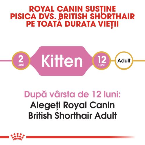 Royal Canin British Shorthair Kitten Hrană uscată pentru pisici junior 400 g