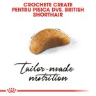 Royal Canin British Shorthair Kitten Hrană uscată pentru pisici junior 400 g