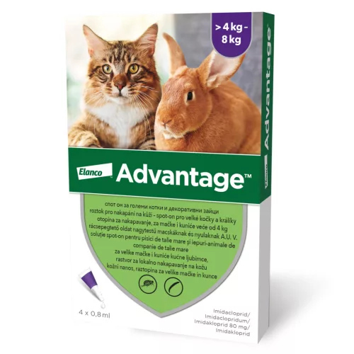 Advantage Spot-On antipurici pentru pisici peste 4 kg, 4 x 0,8 ml