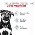 Royal Canin Maxi Puppy Hrană uscată pentru câini junior 1 kg