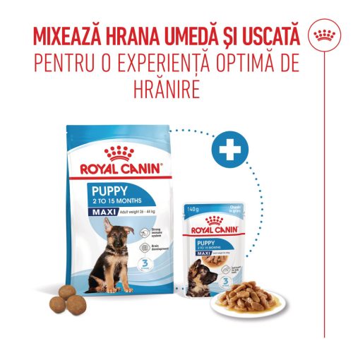 Royal Canin Maxi Puppy Hrană uscată pentru câini junior 1 kg