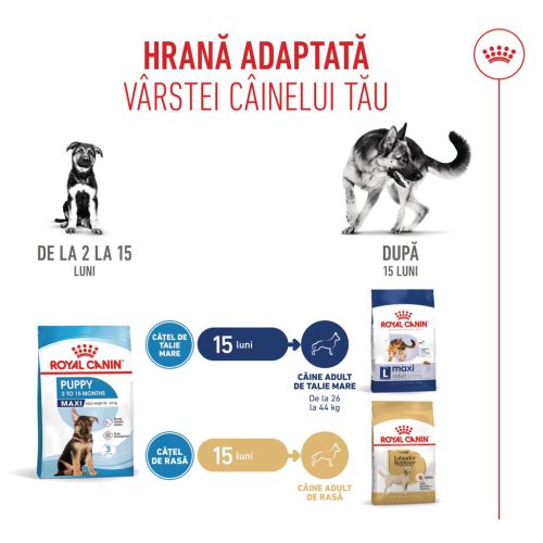 Royal Canin Maxi Puppy Hrană uscată pentru câini junior 1 kg