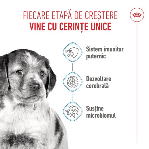 Royal Canin Medium Puppy Hrană uscată pentru câini junior 1 kg