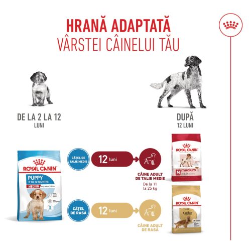 Royal Canin Medium Puppy Hrană uscată pentru câini junior 1 kg