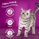 Whiskas hrană uscată cu ton pentru pisici adulte 14 kg