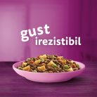 Whiskas hrană uscată cu pui pentru pisici junioare 14 kg