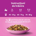 Whiskas hrană uscată cu pui pentru pisici junioare 14 kg