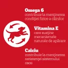 Pedigree Biscrok recompense pentru câini 200 g