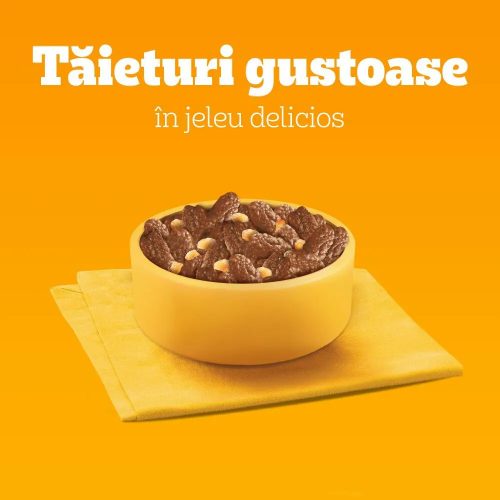 Pedigree Adult Hrană umedă câini, selecție bucăți pasăre în sos 100 g