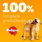 Pedigree Junior Hrană umedă căței, pui și orez în aspic 100 g
