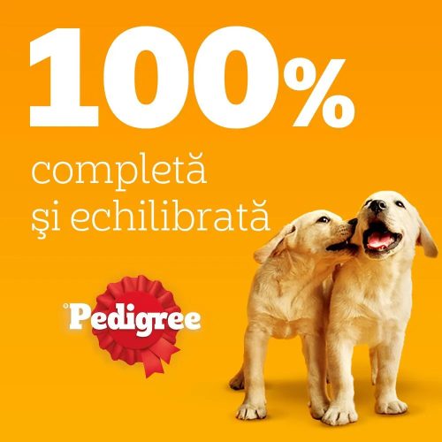 Pedigree Junior Hrană umedă căței, pui și orez în aspic 100 g