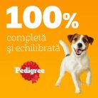 Pedigree Adult Hrană umedă câini, Pui și legume în sos, plic 100g
