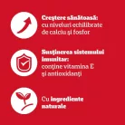 Pedigree Junior Hrană umedă căței, amestec de bucățele în aspic 4 x 100 g