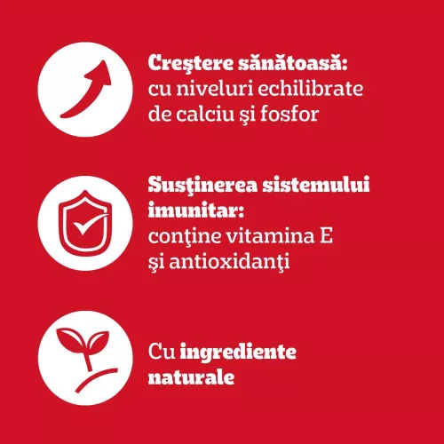 Pedigree Junior Hrană umedă căței, amestec de bucățele în aspic 4 x 100 g