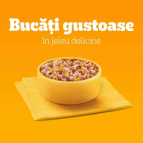 Pedigree Junior Hrană umedă căței, amestec de bucățele în aspic 4 x 100 g
