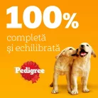 Pedigree Junior Hrană umedă căței, amestec de bucățele în aspic 4 x 100 g