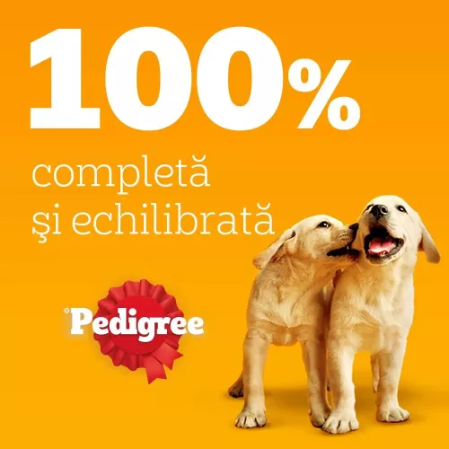 Pedigree Junior Hrană umedă căței, amestec de bucățele în aspic 4 x 100 g