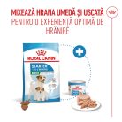 Royal Canin Mini Starter Mother & BabyDog Hană uscată pentru câini, mama și puiul 1 kg