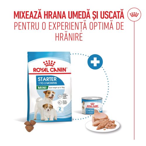 Royal Canin Mini Starter Mother & BabyDog Hană uscată pentru câini, mama și puiul 1 kg