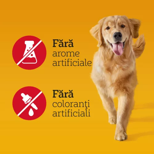 Pedigree Biscrok Original Hrană complementară pentru câini adulți 500 g