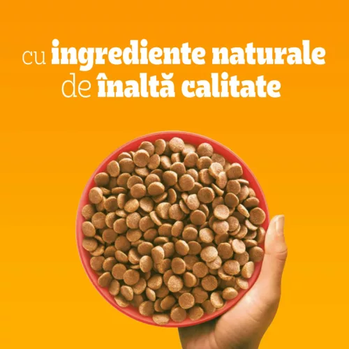 Pedigree Hrană uscată cu vită și legume pentru câini adulți de talie mică 12 kg