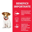 Hill's Hrană uscată pentru câini juniori de talie mică, cu pui 1.5 kg