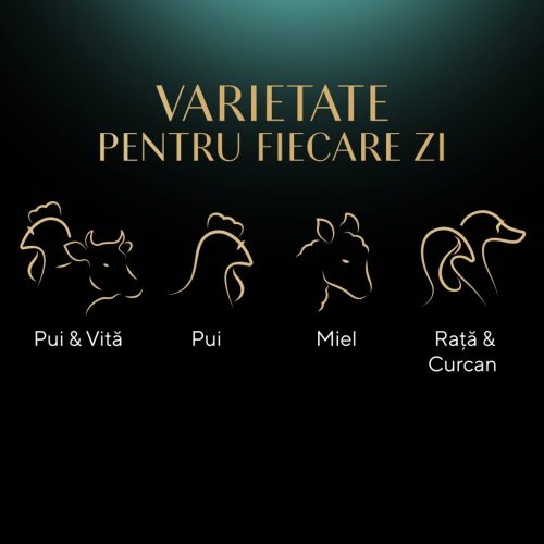 Sheba Hrană umedă pentru pisici adulte, selecție suculentă în sos 4 x 85 g