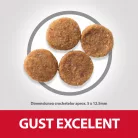 Hill's Hrană uscată pentru câini adulți de talie medie, cu pui 2.5 kg
