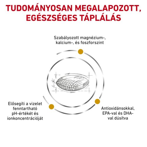 Royal Canin Veterinary Hrană uscată pentru câini, susținerea tractului urinar 2 kg