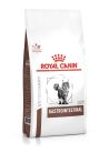 Royal Canin Veterinary Hrană uscată pentru pisici cu probleme digestive 400 g