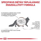 Royal Canin Veterinary Hrană uscată pentru pisici cu probleme digestive 2 kg