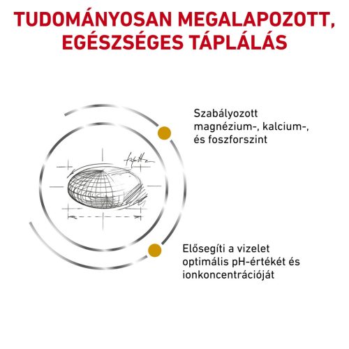 Royal Canin Veterinary Hrană uscată pentru pisici, susținerea tractului urinar 400 g