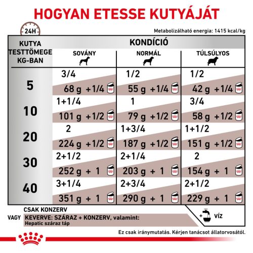 Royal Canin Veterinary Hrană umedă pentru câini, susținerea funcției hepatice 420 g