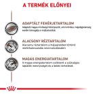 Royal Canin Veterinary Hrană umedă pentru câini, susținerea funcției hepatice 420 g