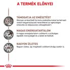 Royal Canin Veterinary Hrană umedă pentru câini cu probleme digestive 400 g