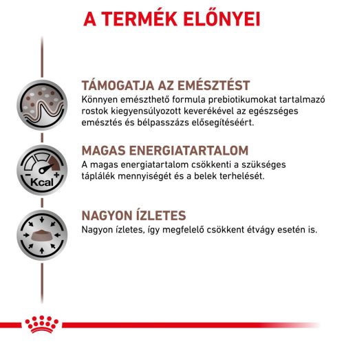 Royal Canin Veterinary Hrană umedă pentru câini cu probleme digestive 400 g