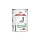 Royal Canin Veterinary Hrană umedă pentru câini diabetici 410 g