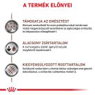 Royal Canin Veterinary Hrană uscată pentru câini cu probleme digestive 1,5 kg